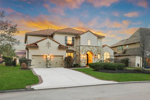 19 Brittany Rose Place The Woodlands TX 77375