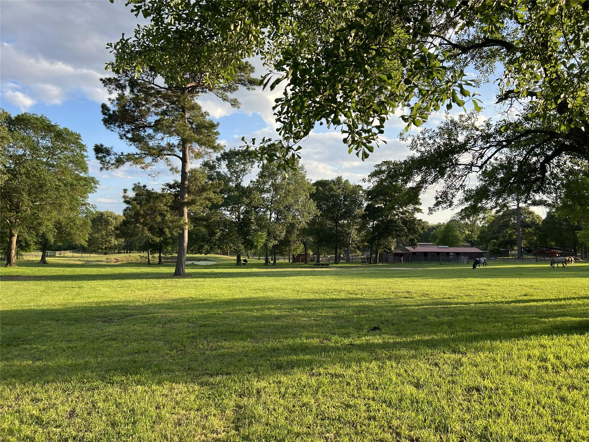 12494-725B Hill Creek Road