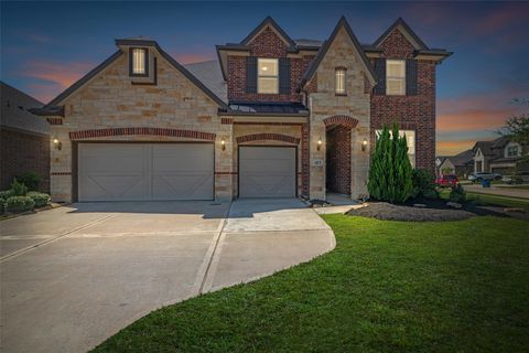 423 Round Top Street Webster TX 77598