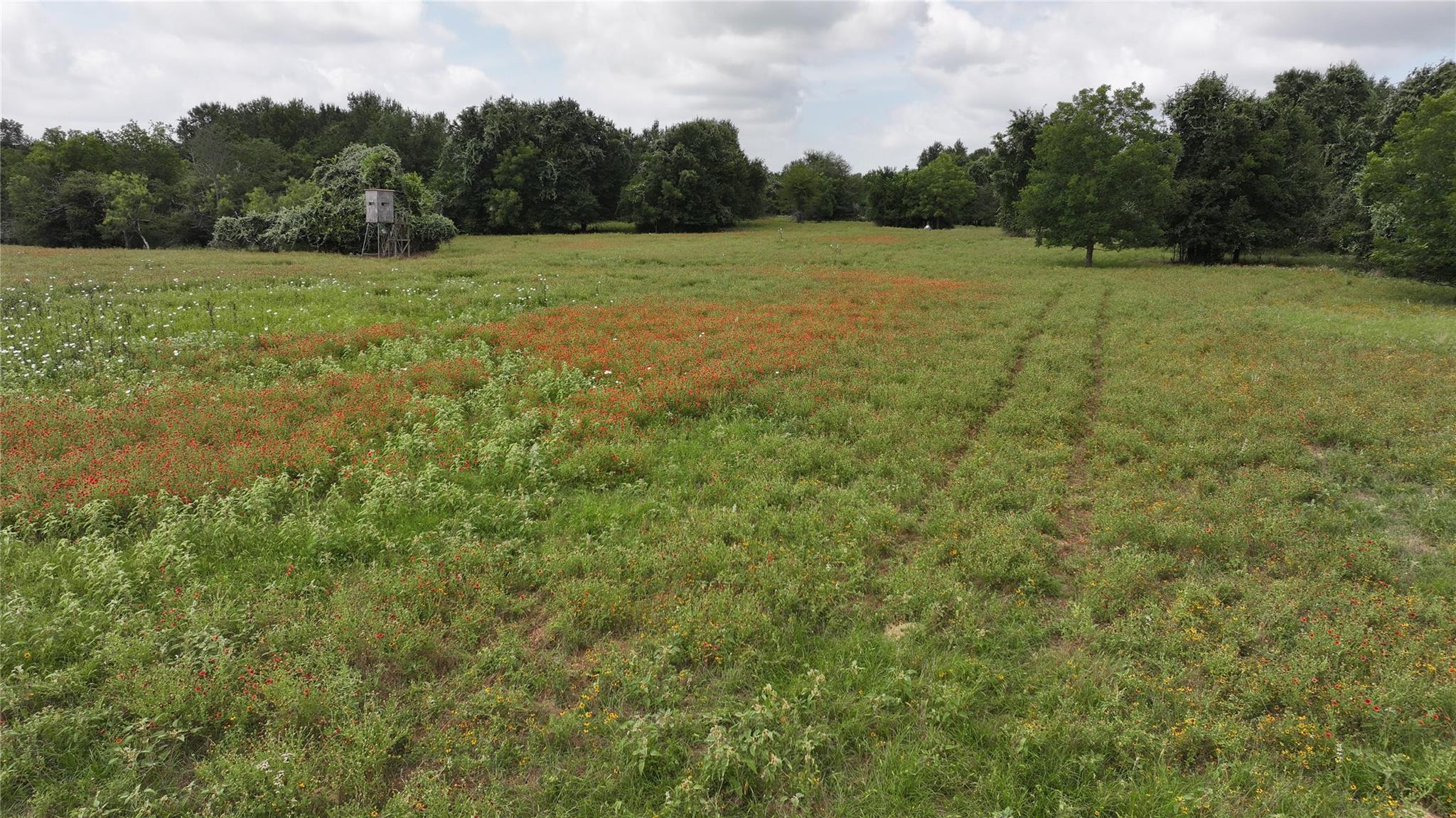 TBD Rose Hill Rd / Pleasant Rd