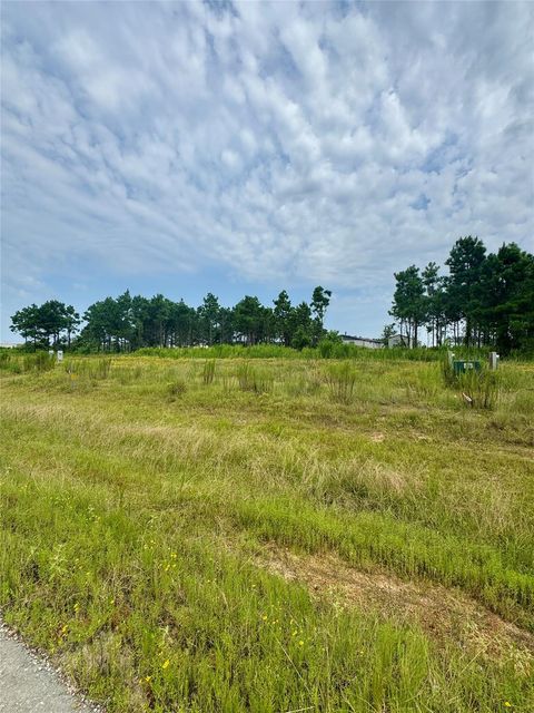 Photo of 8060 Road 5866, Dayton, TX 77535 (MLS # 36527919)