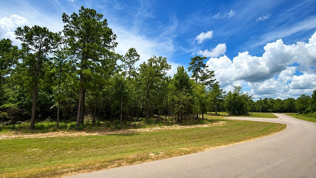 Photo of 7625 Trinity Pines Dr DR, Montgomery, TX 77316 (MLS # 81226606)