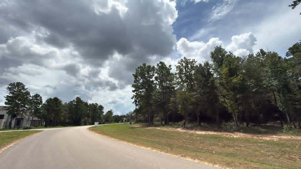 Photo of 7625 Trinity Pines Dr DR, Montgomery, TX 77316 (MLS # 81226606)