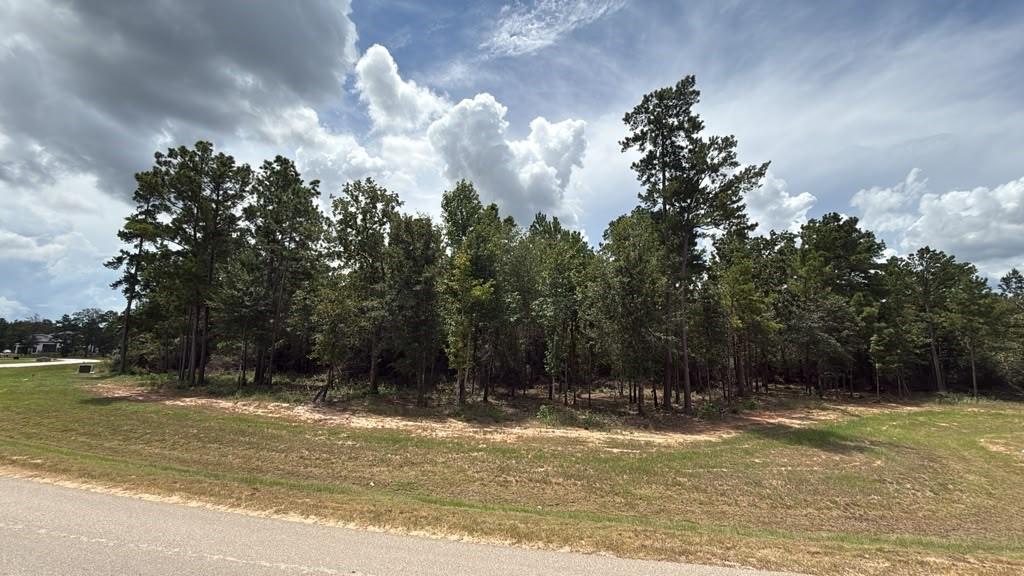7625 Trinity Pines Dr