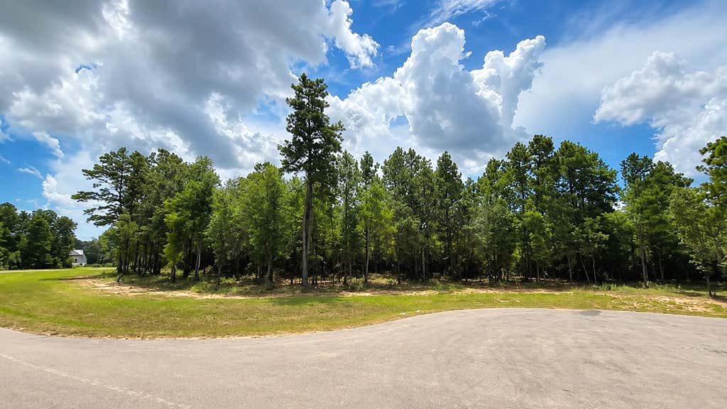 Photo of 7625 Trinity Pines Dr DR, Montgomery, TX 77316 (MLS # 81226606)