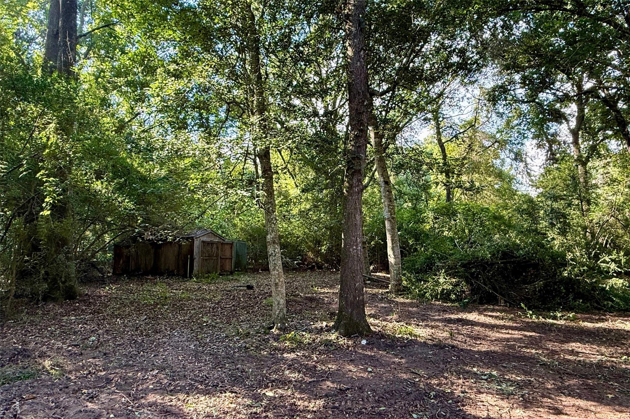 318 County Road 4704