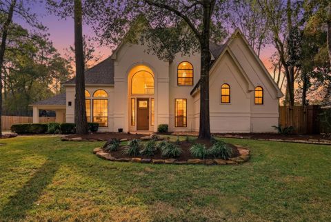 10 Raintree Place The Woodlands TX 77381