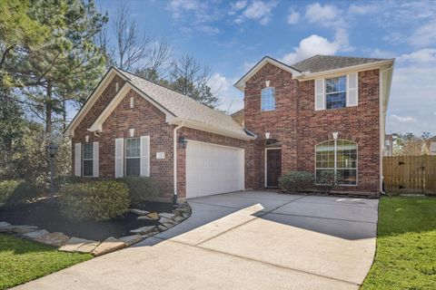 3 Patina Pines Place The Woodlands TX 77381