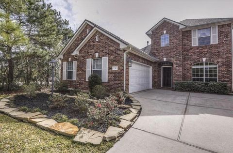 3 Patina Pines Place The Woodlands TX 77381