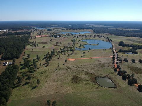 Photo of 252 Lakeland Ranch, Hillister, TX 77624 (MLS # 53965253)