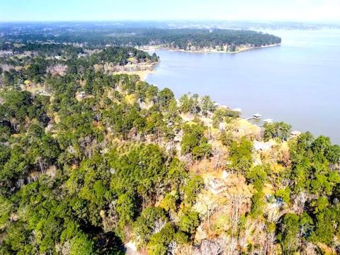 0 Lizzie Ben Coldspring TX 77331