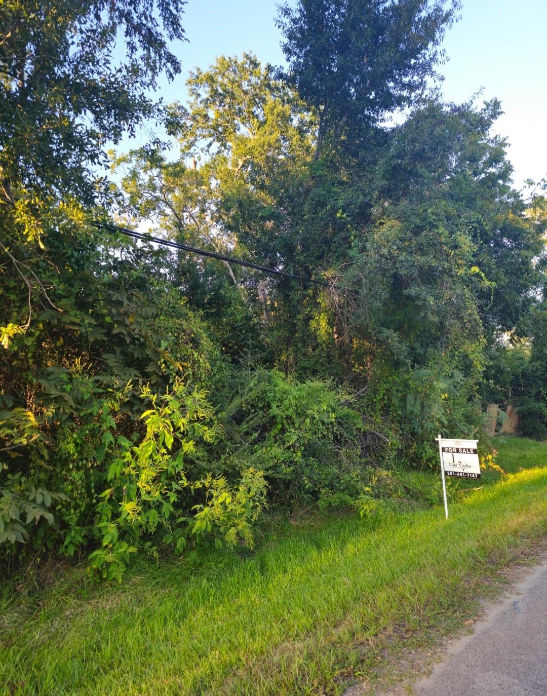 TBD Avenue F
