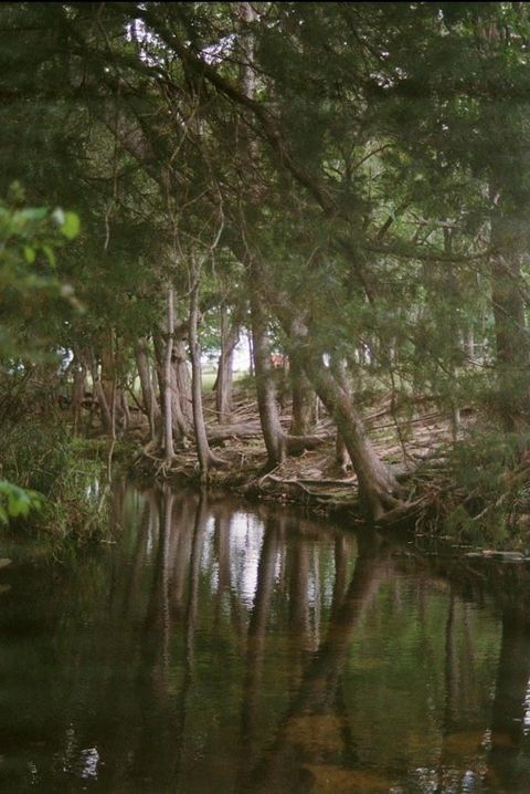 Vacant Land For Sale - 1532 County Road 250<br/> Weimar, TX 78962