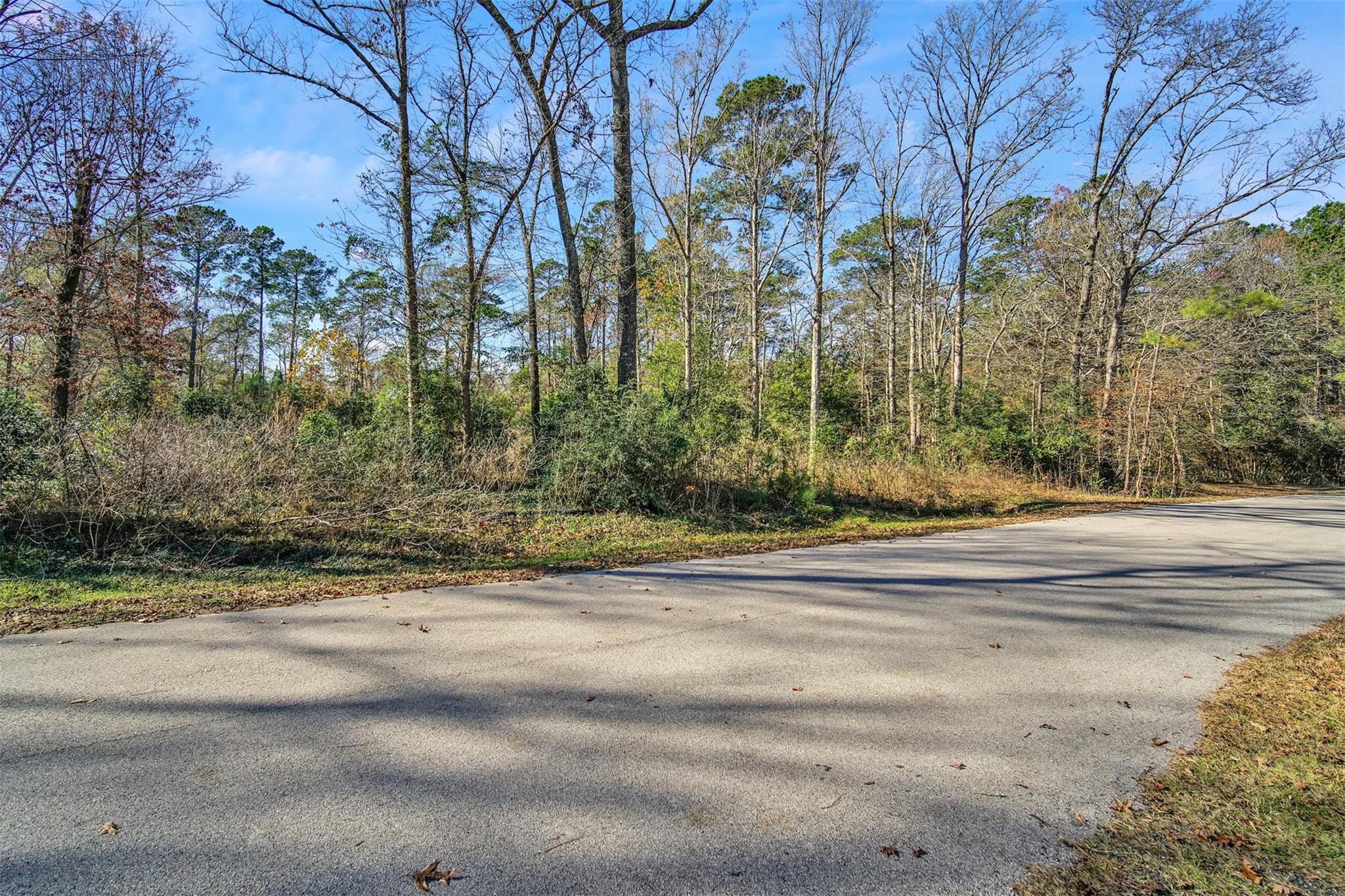 10884 Champion Village Drive