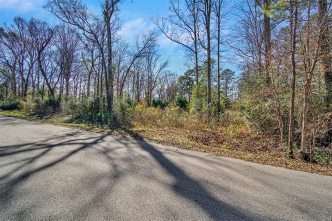 Photo of 10884 Champion Village Drive, Conroe, TX 77303 (MLS # 75192260)
