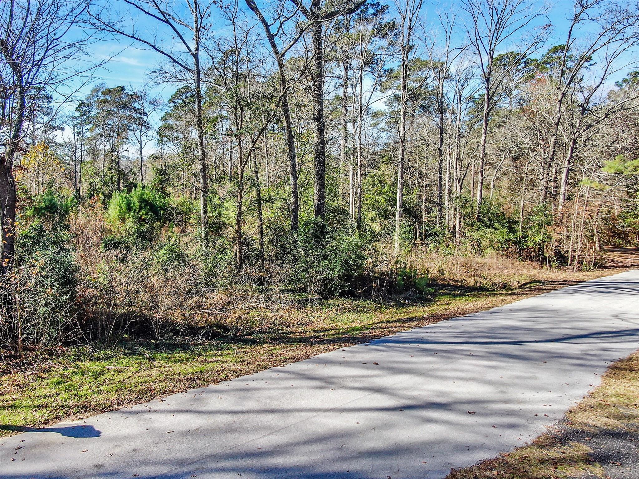 10884 Champion Village Drive