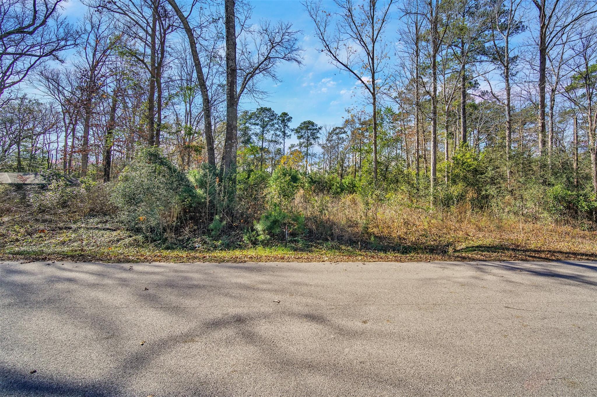 10884 Champion Village Drive