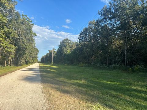 Photo of 45 Tx-61 Pr 117, Devers, TX 77538 (MLS # 9620729)