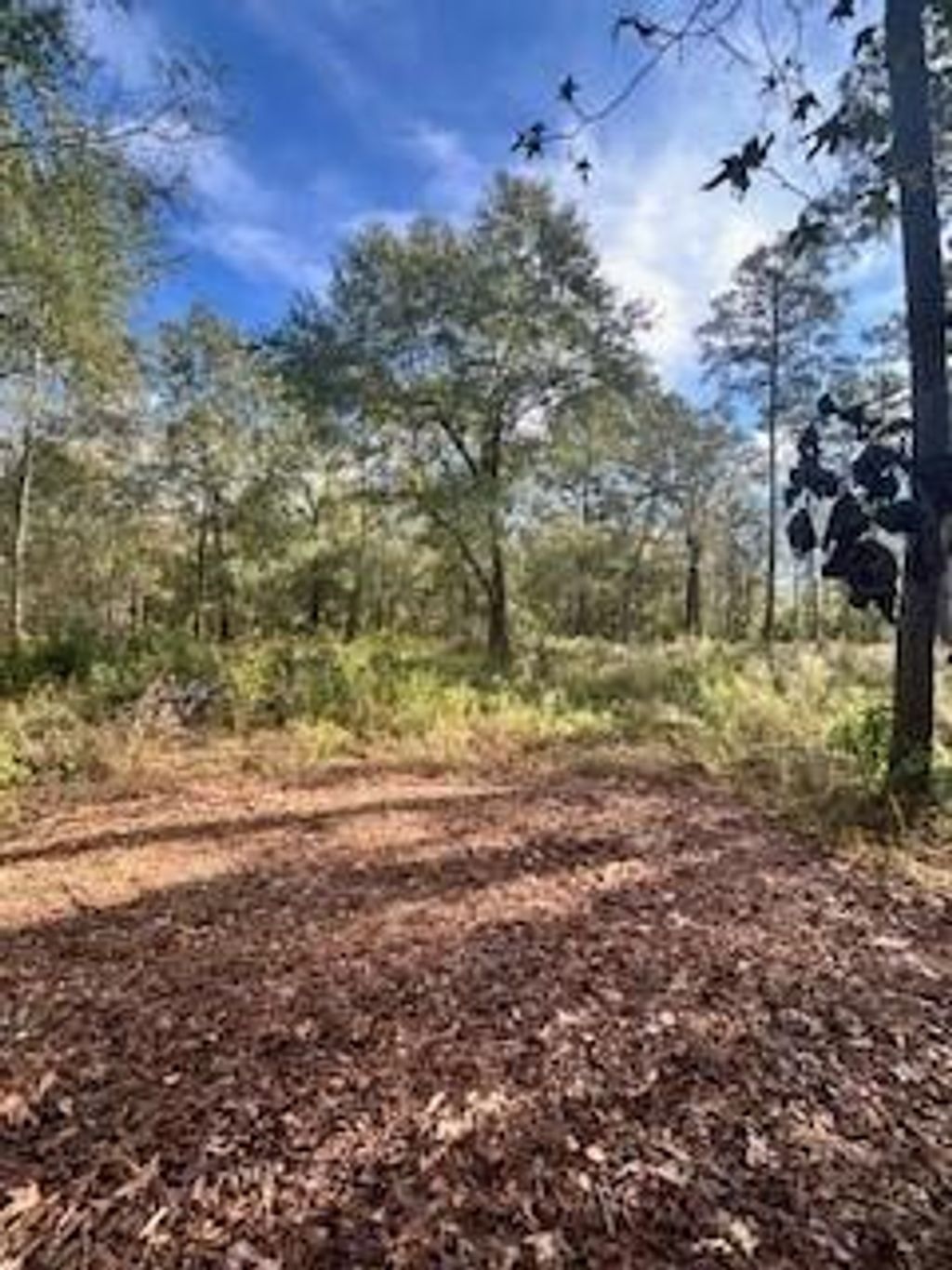 Photo of 480 County Road 3188, Cleveland, TX 77327 (MLS # 40562440)