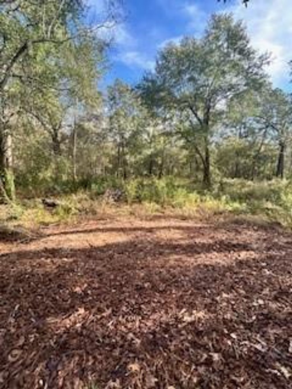 Photo of 480 County Road 3188, Cleveland, TX 77327 (MLS # 40562440)