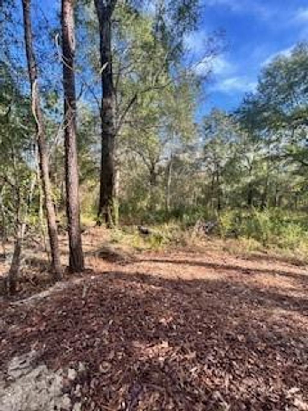 Photo of 480 County Road 3188, Cleveland, TX 77327 (MLS # 40562440)