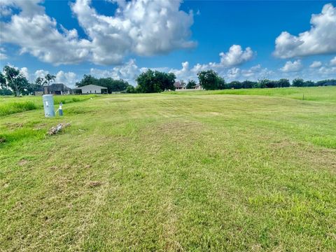 Photo of 1579 Quarter Horse Trail, Angleton, TX 77515 (MLS # 62432041)