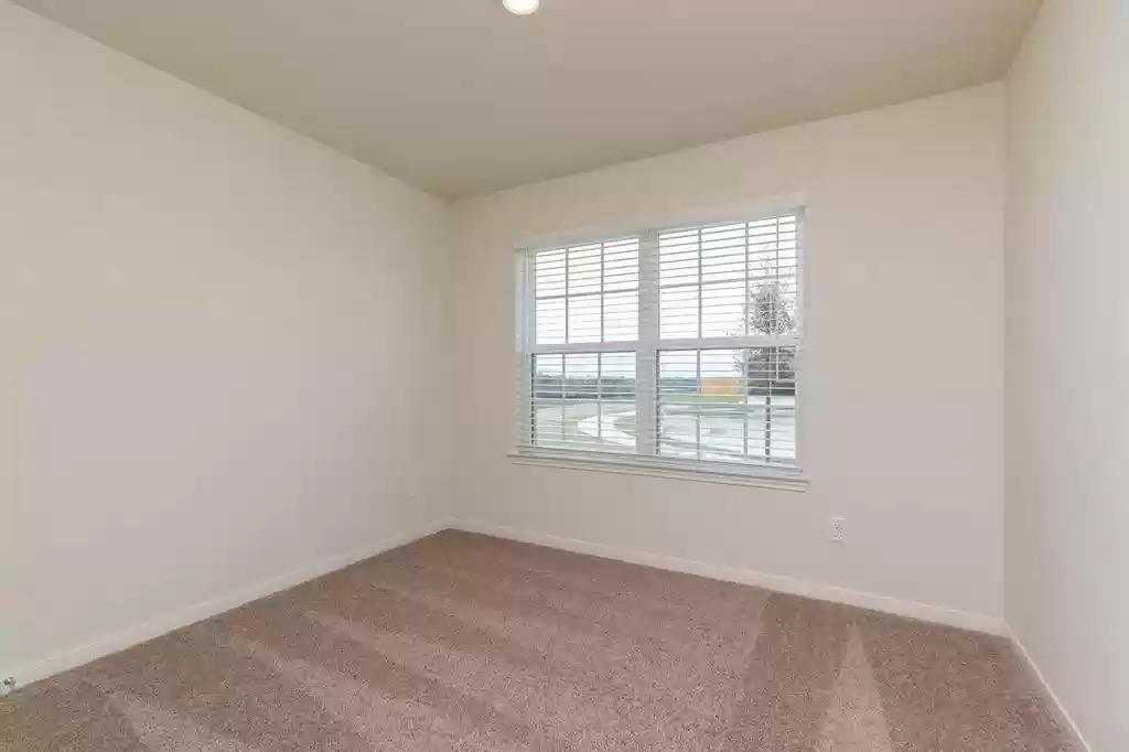 8135 Vacek Meadows Loop