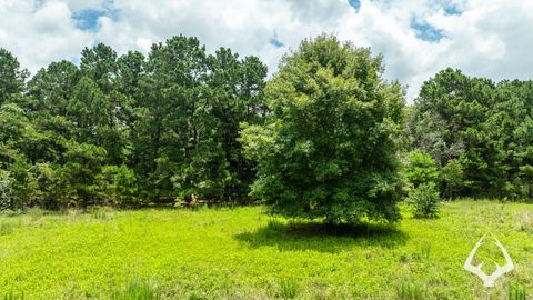 Photo of 0 County Road 2265, Grapeland, TX 75844 (MLS # 10924362)