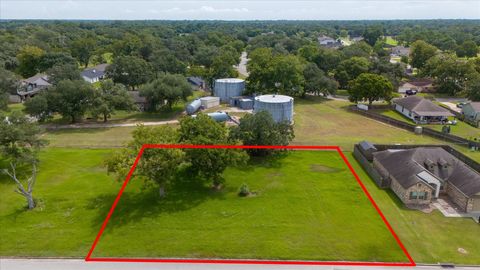 Photo of 1 Turberry Dr, West Columbia, TX 77486 (MLS # 82307282)