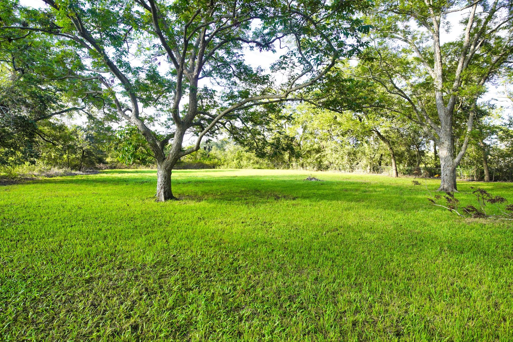 1203 County Road 677