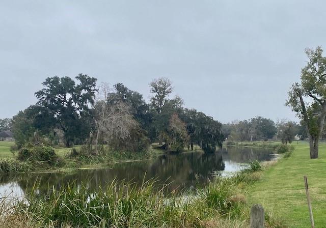 218 Cattle Drive Trail