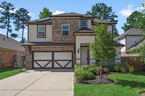 Photo of 319 Honey Mesquite Path, Conroe, TX 77318 (MLS # 16153895)