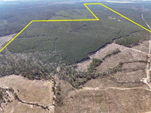 Vacant Land For Sale - 1 Off Fm 247<br/> Walker County, Huntsville, TX 77340