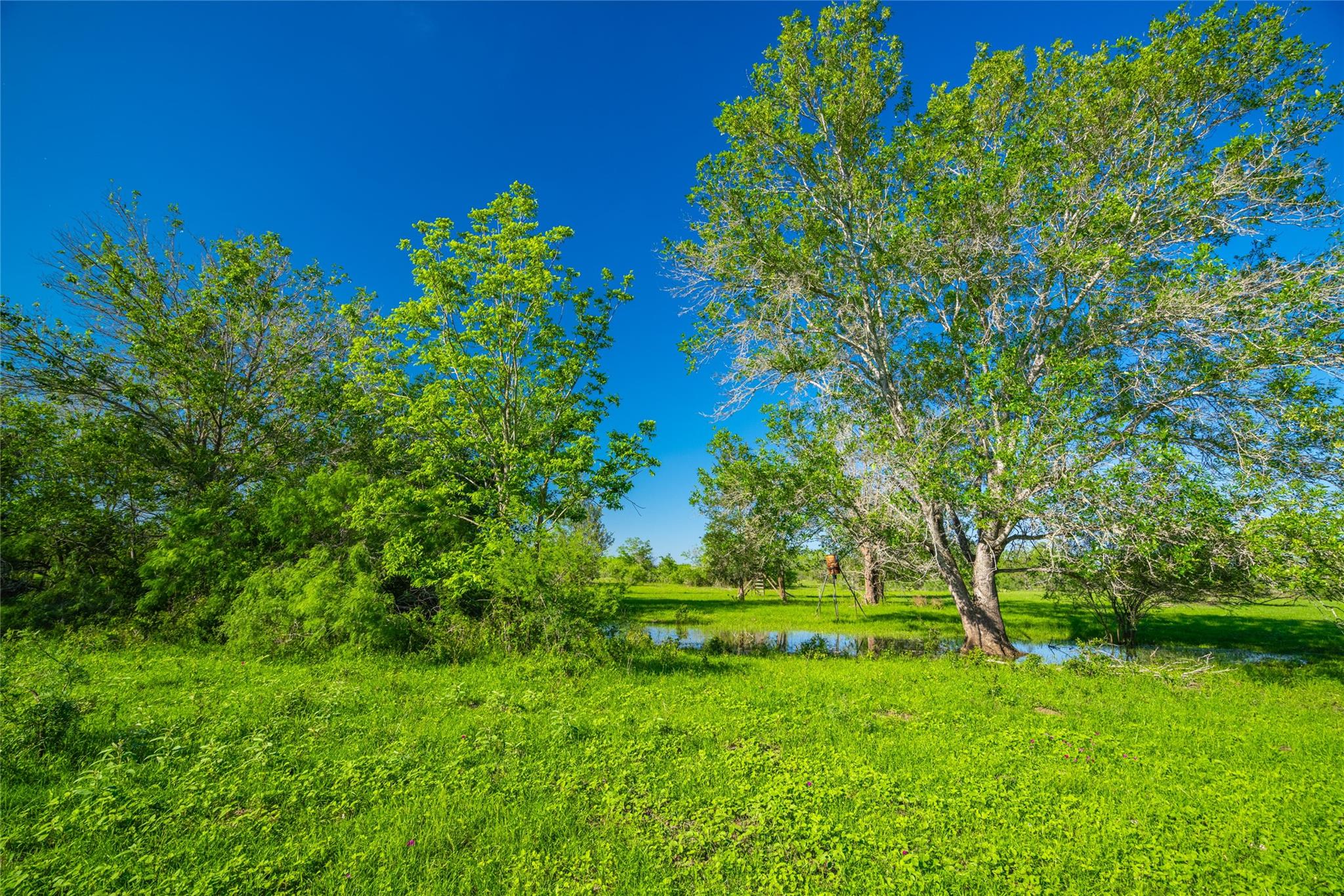 0 Sparta Field Road