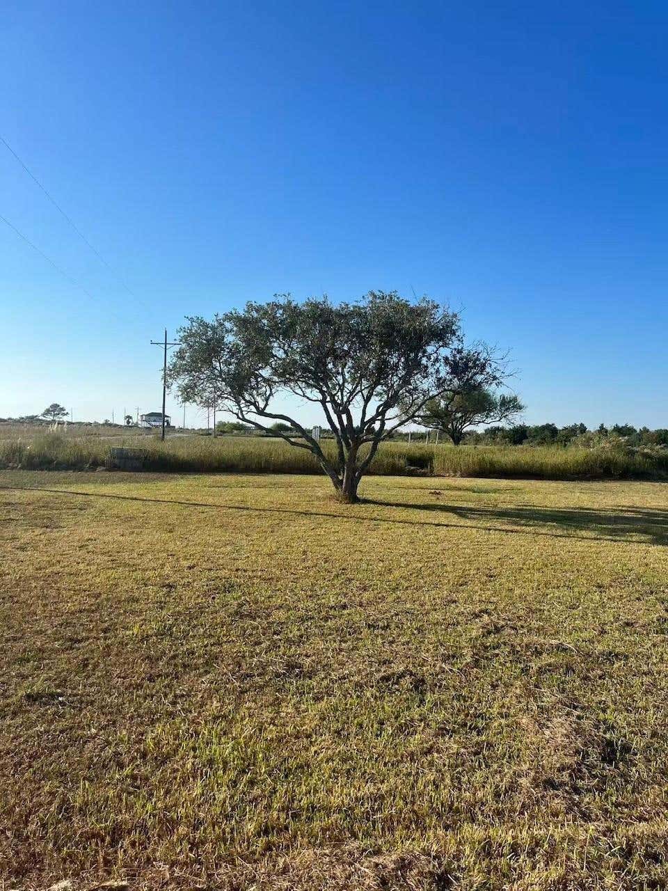 Photo of 708 Bayou Avenue, Anahuac, TX 77514 (MLS # 44284016)
