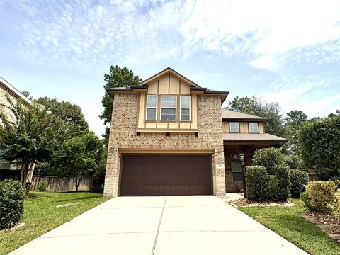 119 Red Eagle Court Montgomery TX 77316