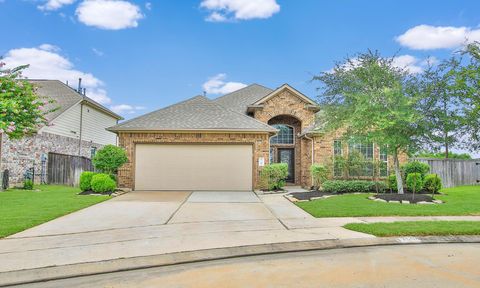 17506 Field Row Trail Hockley TX 77447
