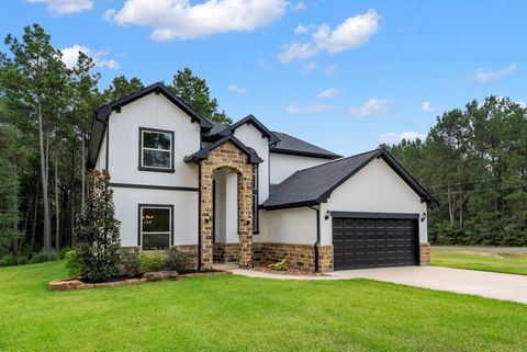 17679 Spur Court Waller TX 77484