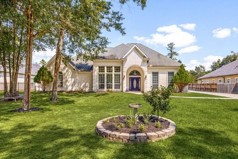 19509 Desna Drive Porter TX 77365