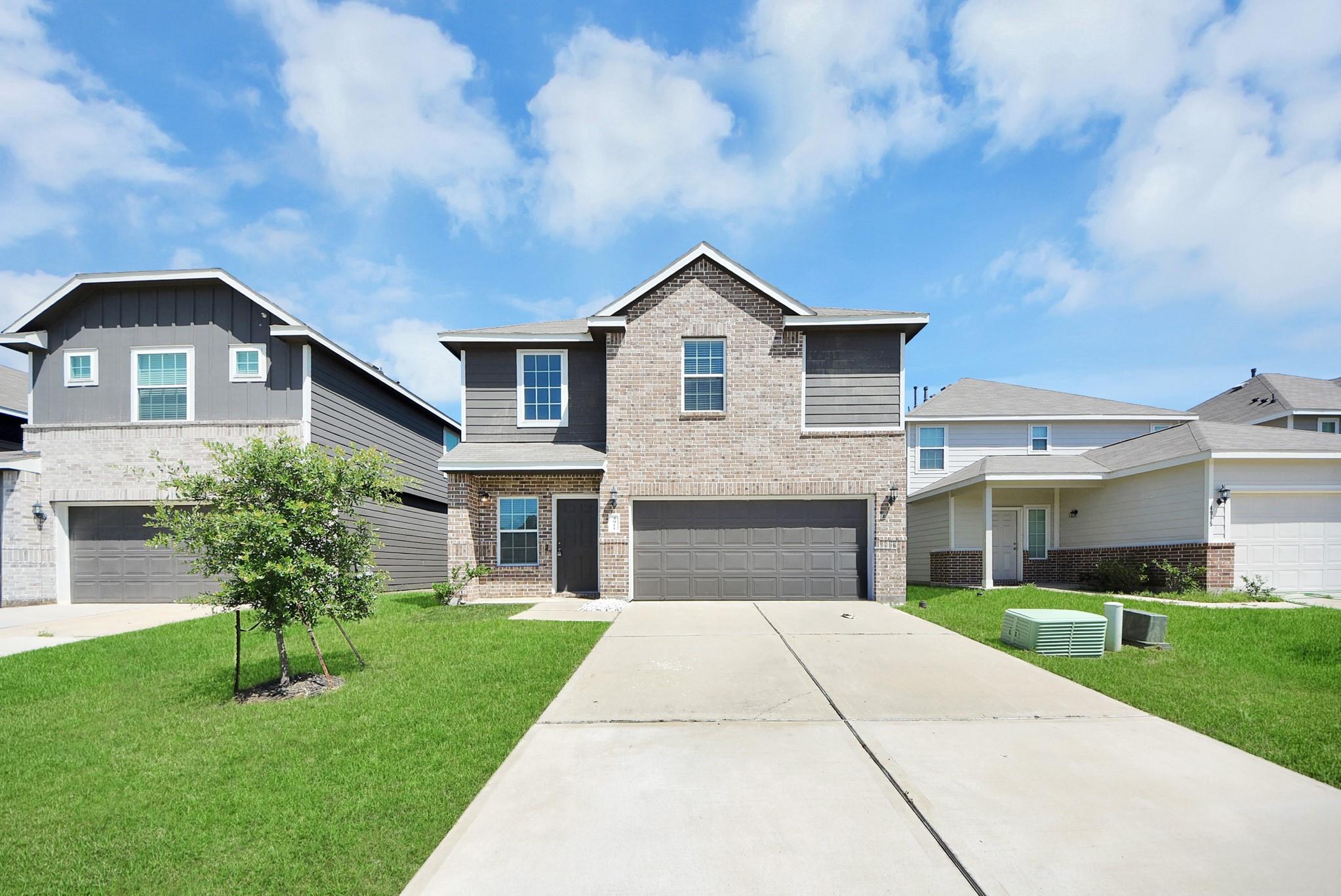 4911 Yellow Ginko Trail
