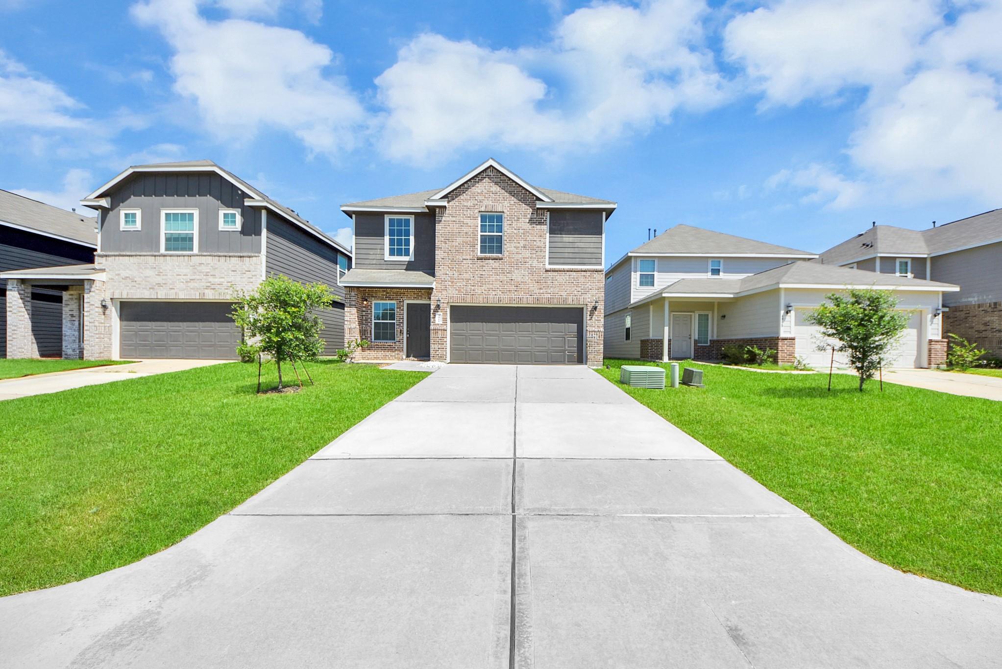 4911 Yellow Ginko Trail