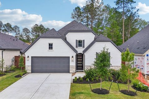 Photo of 29756 Brushy Gables Drive, Magnolia, TX 77354 (MLS # 96689147)