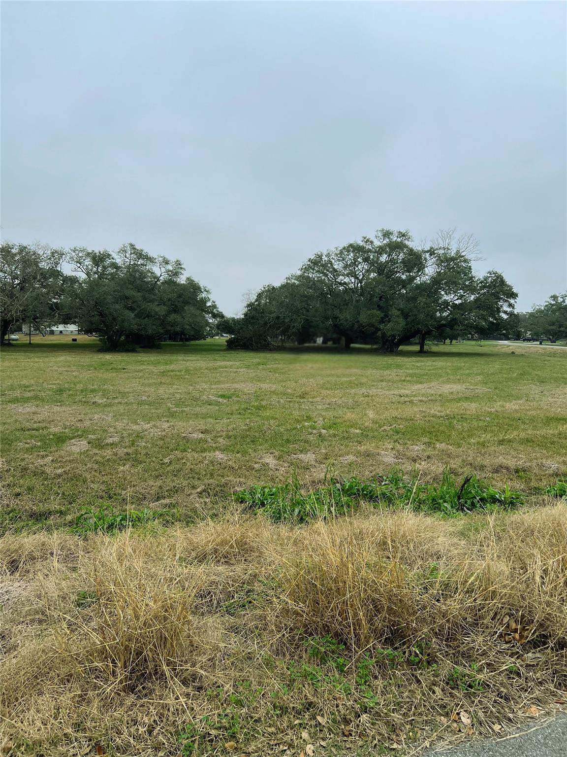 103 Vintage Oaks Court