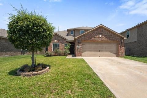 Photo of 1327 Diamond Drape Drive, Rosharon, TX 77583 (MLS # 84179298)