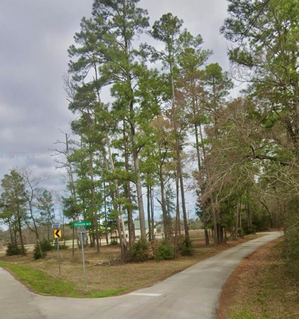 Photo of 0 Grissom Road, Richards, TX 77873 (MLS # 53092189)