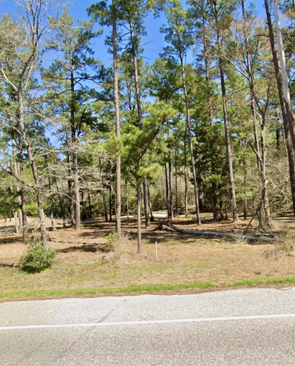 Photo of 0 Grissom Road, Richards, TX 77873 (MLS # 53092189)