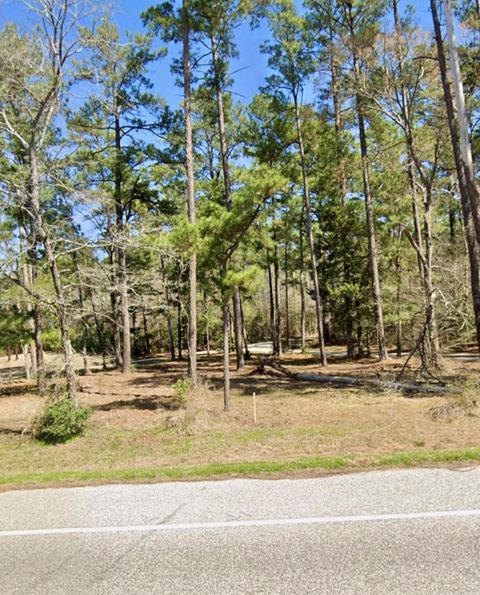 Photo of 0 Grissom Road, Richards, TX 77873 (MLS # 53092189)