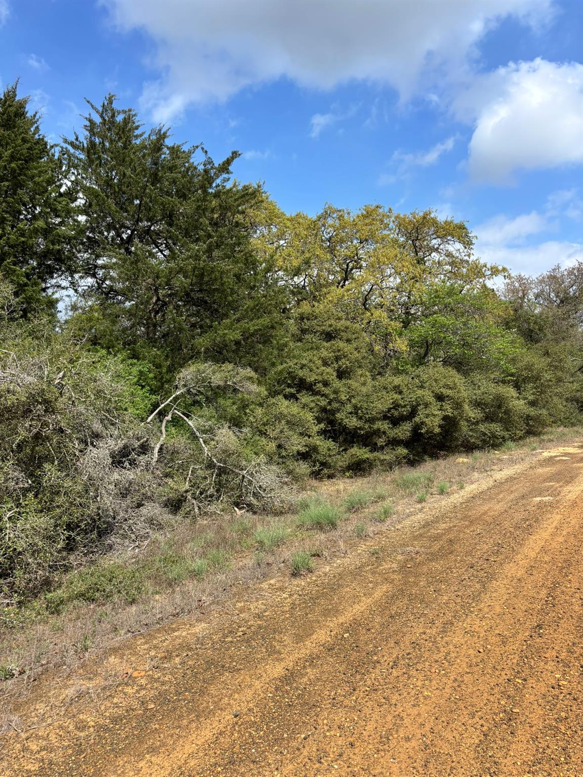 TBD Holly Springs Drive