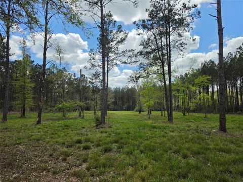 Vacant Land For Sale - TBD Kelley Road<br/> Polk County, Livingston, TX 77351