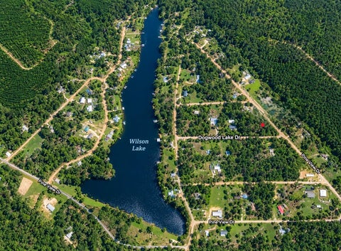 Photo of 0 Dogwood Lake Drive, Livingston, TX 77351 (MLS # 88346311)